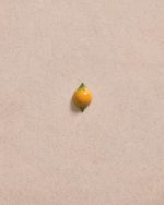 LE LEONARDO - Image 4