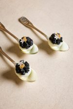 Mimosa eggs - Image 5