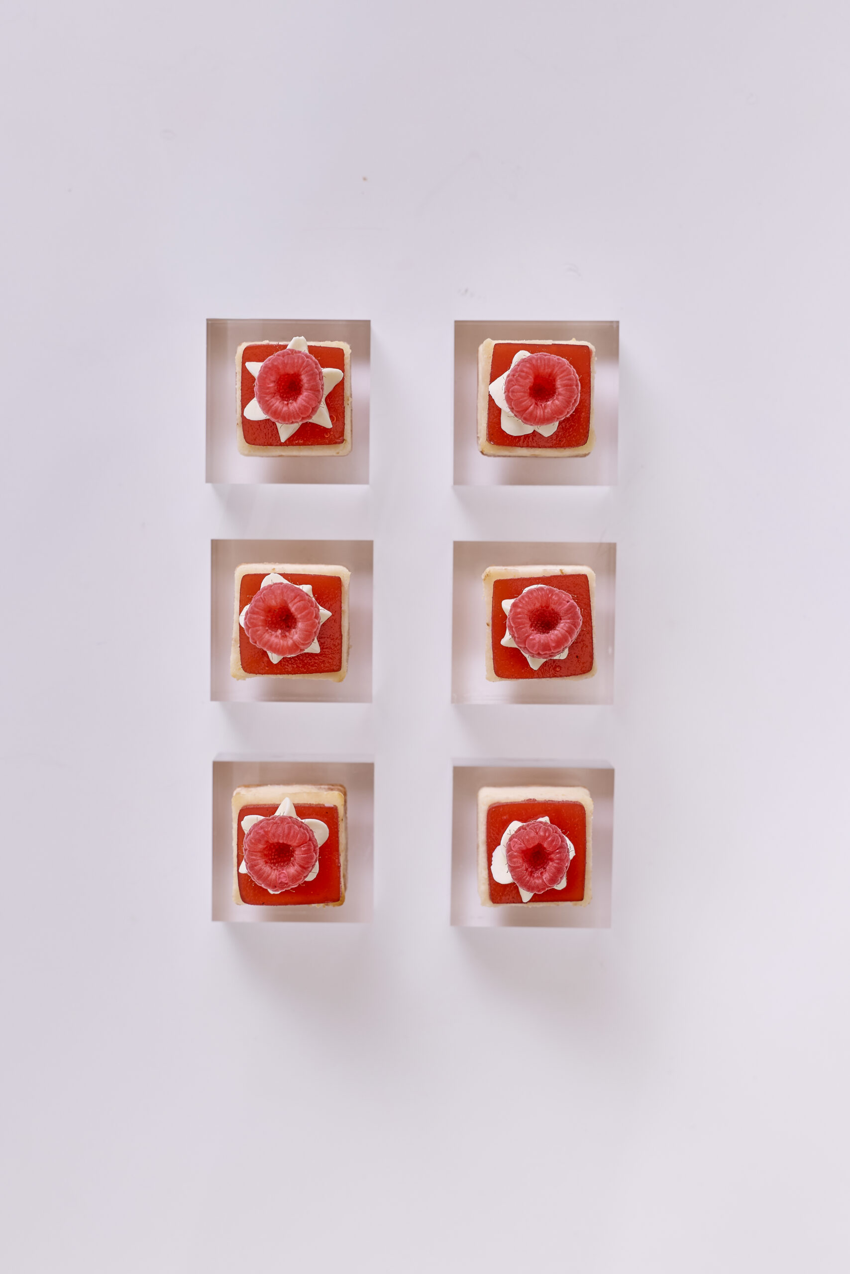 _65A7821 Raspberry Cheesecake Bites - Image 1