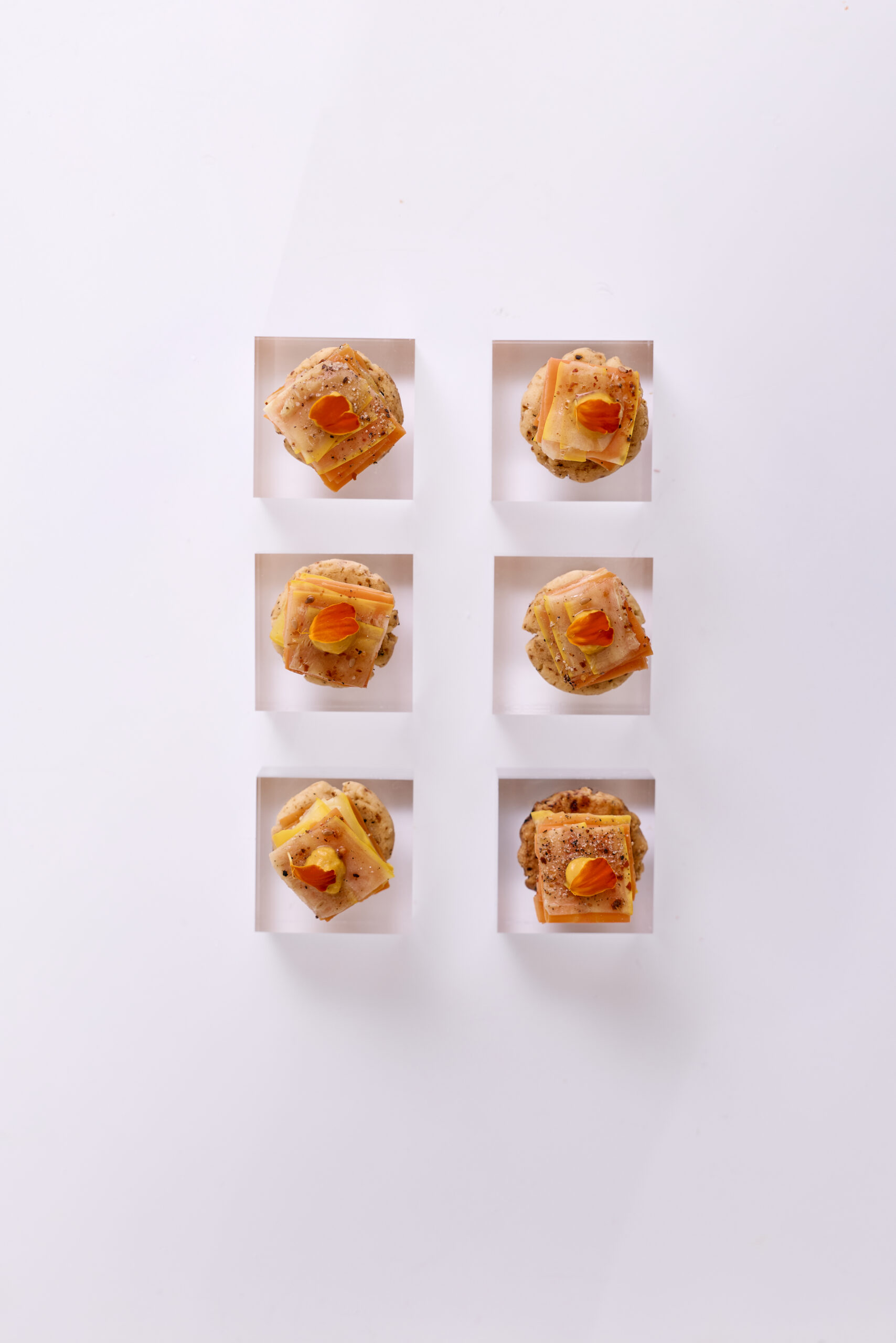 _65A7858 Sumac Cookie, Carrot & Zucchini Mille-Feuille - Image 1